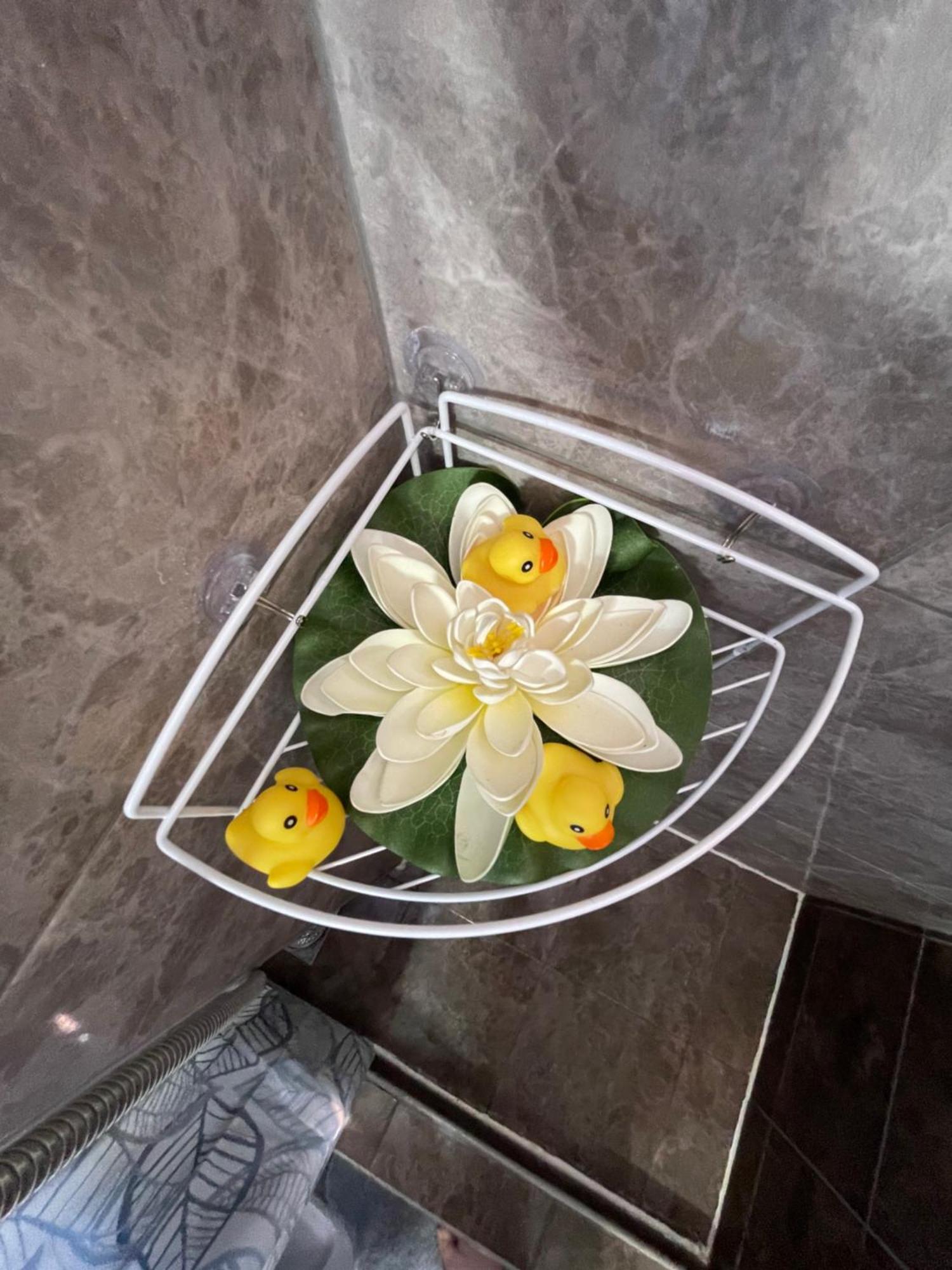 Apartment Maki โกตอร์ ภายนอก รูปภาพ